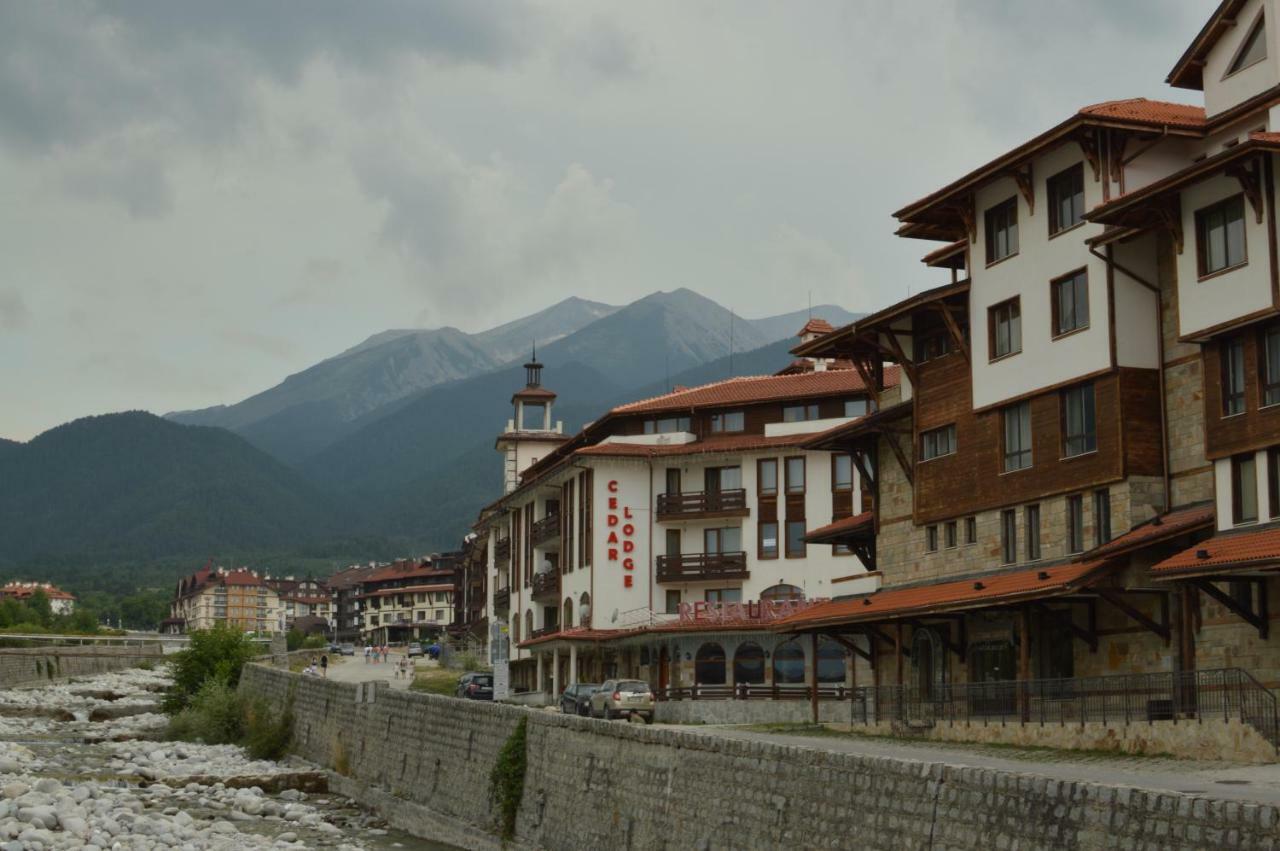 Ski Apartment D50 Cedar Lodge 4 Bansko Zewnętrze zdjęcie